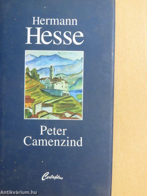 Peter Camenzind