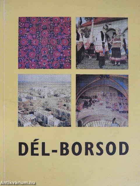 Dél-Borsod