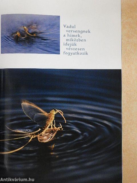 National Geographic Magyarország 2003. május