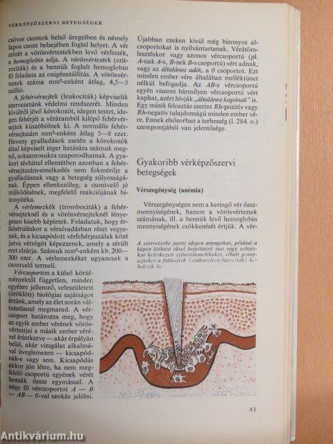 Orvos a családban