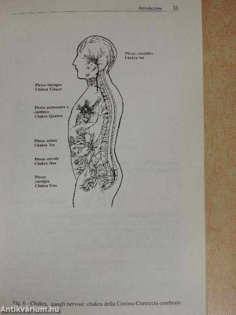 I chakras