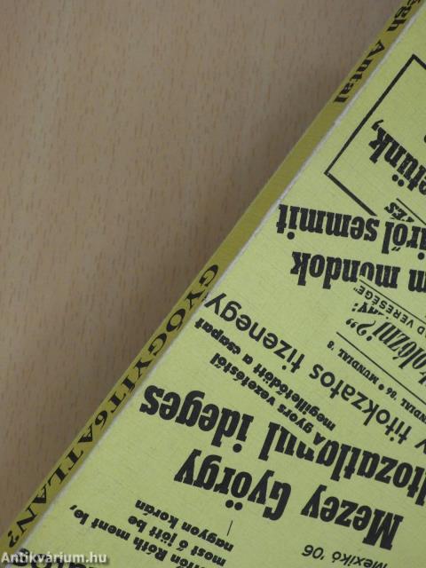 Gyógyít6atlan? (dedikált példány)