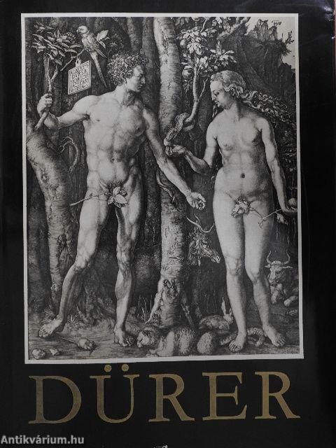 Albrecht Dürer fametszetei és rézmetszetei