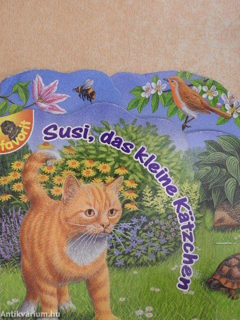 Susi, das kleine Kätzchen