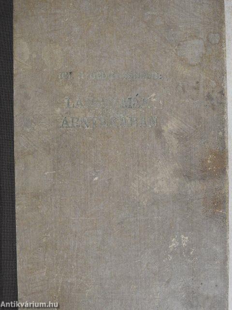 Lángelmék árnyékában