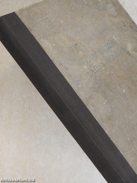 Lángelmék árnyékában