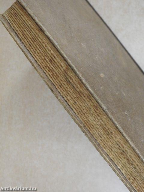 Lángelmék árnyékában