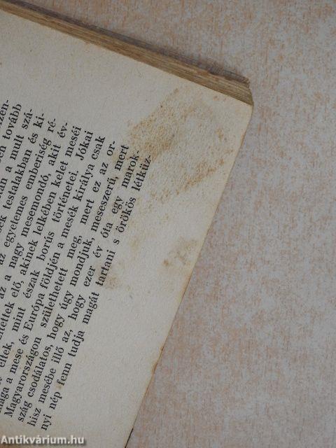 Lángelmék árnyékában