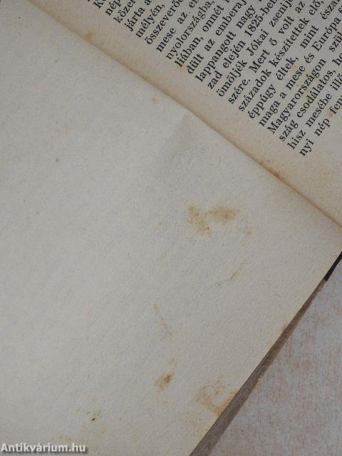 Lángelmék árnyékában