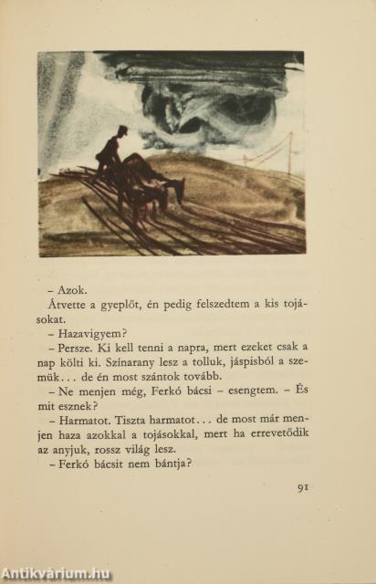 Őszi vásár (dedikált példány)