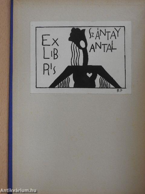 Cserkészúton Spanyolföldön