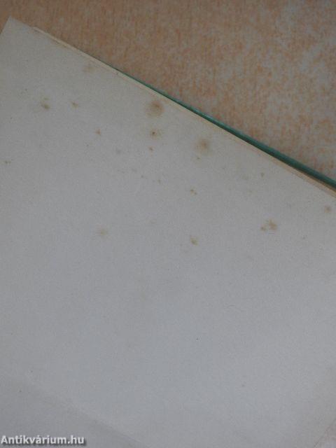 Magyar-spanyol/spanyol-magyar útiszótár