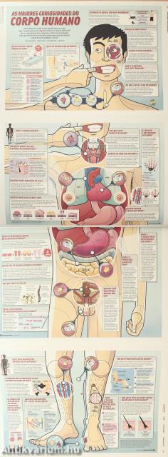Information Graphics