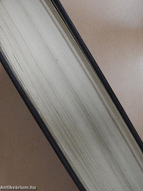 Angol-magyar kéziszótár