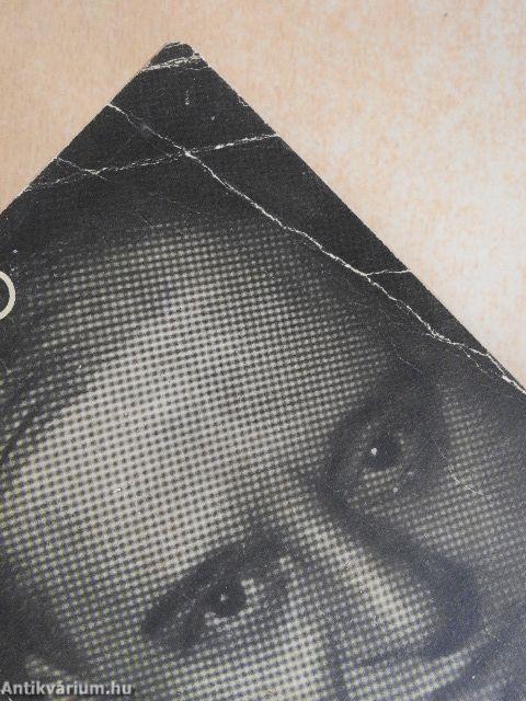 Utazás enmagam körül