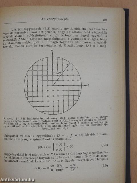 Elméleti magfizika (dedikált példány)