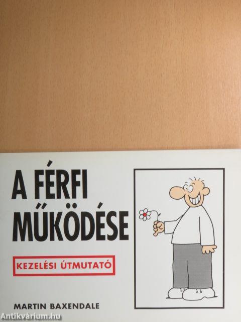 A férfi működése