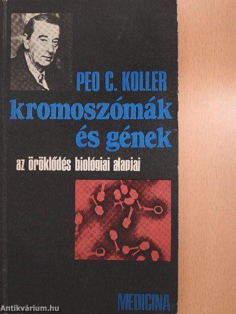 Kromoszómák és gének