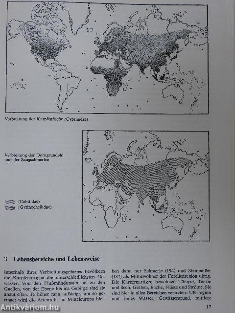 Karpfenfische und Karpfenähnliche