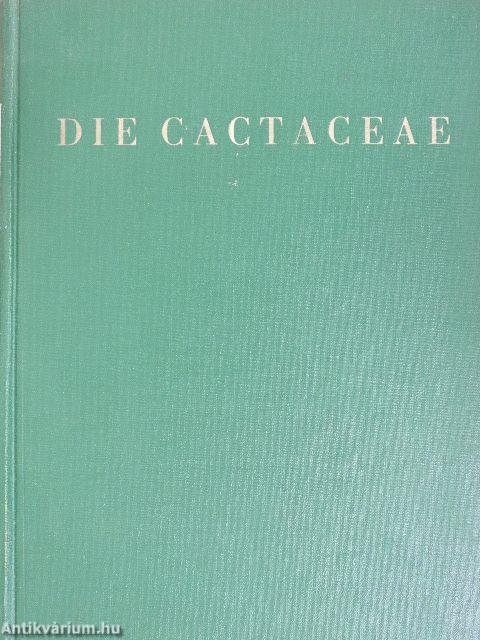 Die Cactaceae II.