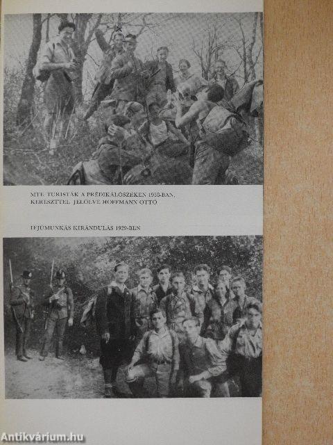 Az A-3131-es hazatér