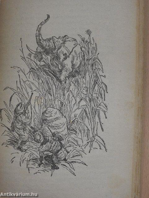 Vadászkalandok Afrikában