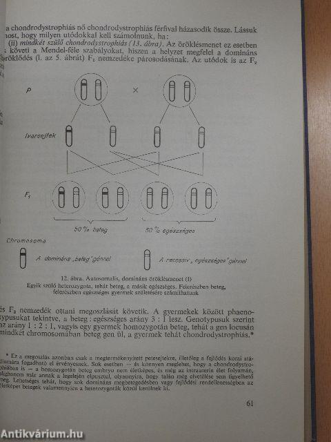 A beteg gyermek 1-2.