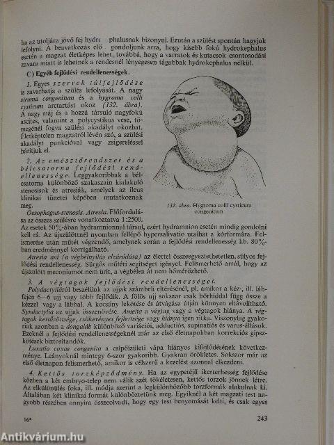 A szülészet tankönyve