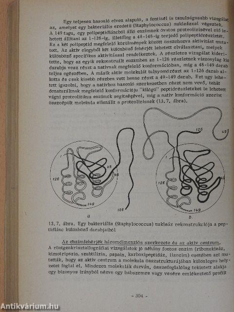 Biokémia I.