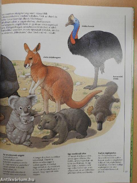 Hol élnek az állatok?