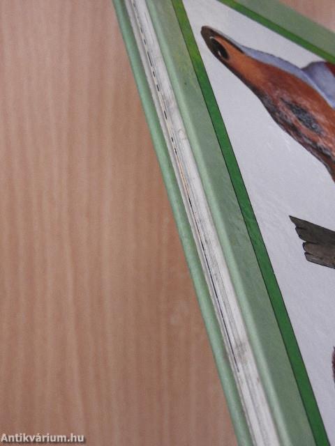 Hol élnek az állatok?