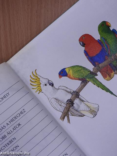 Hol élnek az állatok?