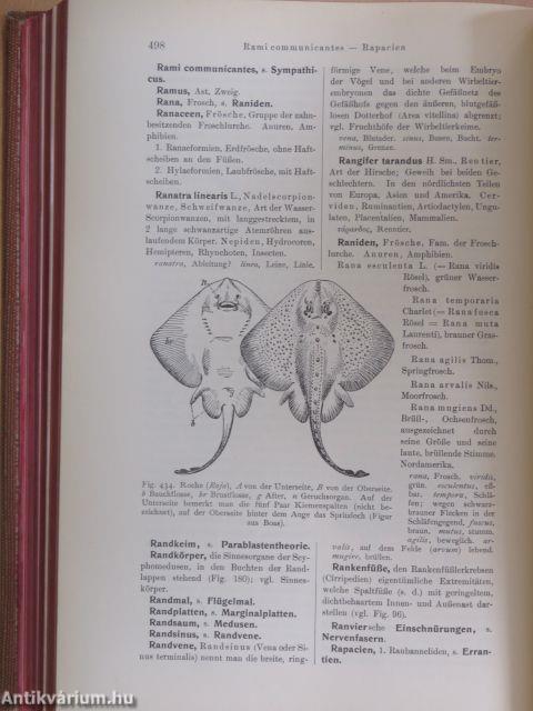 Zoologisches Wörterbuch