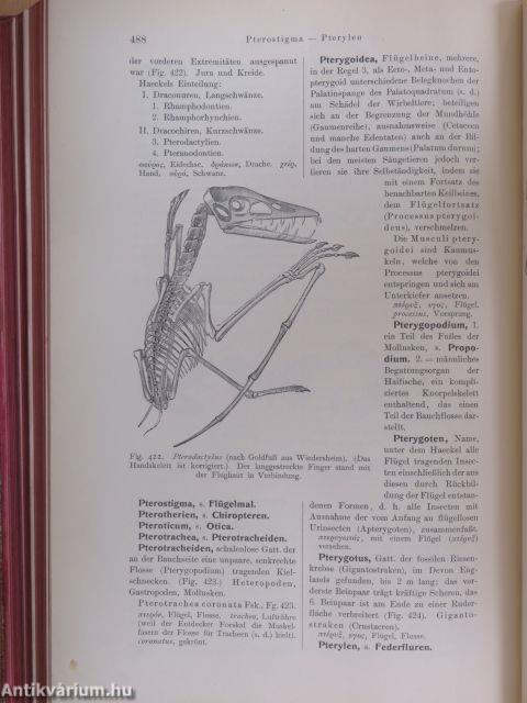 Zoologisches Wörterbuch