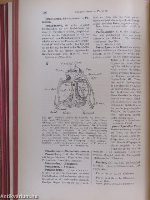 Zoologisches Wörterbuch