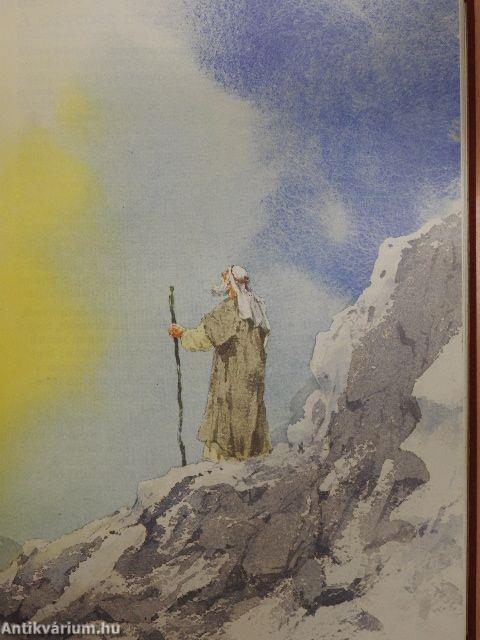 365 történet a Bibliából gyermekeknek