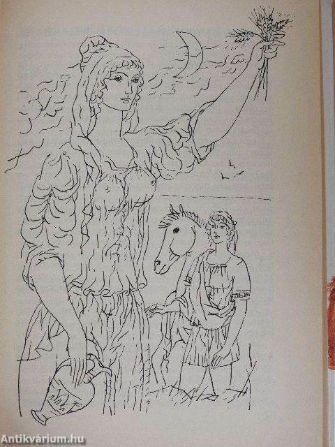 Istennő szépséges fia