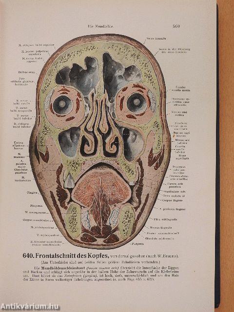 Handatlas der Anatomie des Menschen 1-3.