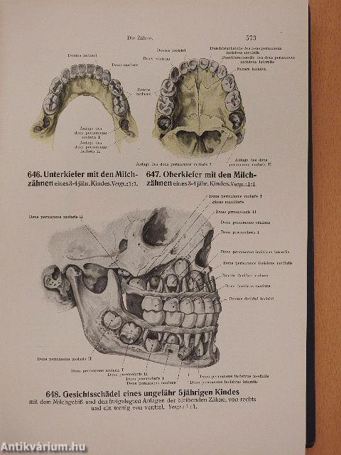 Handatlas der Anatomie des Menschen 1-3.