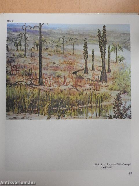 Biológiai album II.