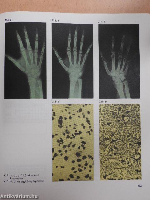 Biológiai album II.