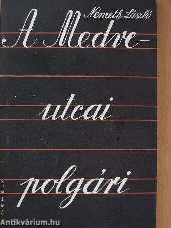 A Medve-utcai polgári