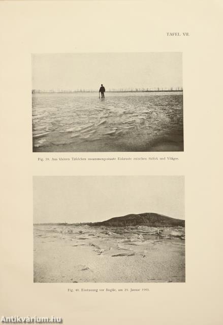 Das Eis des Balatonsees (dedikált példány)