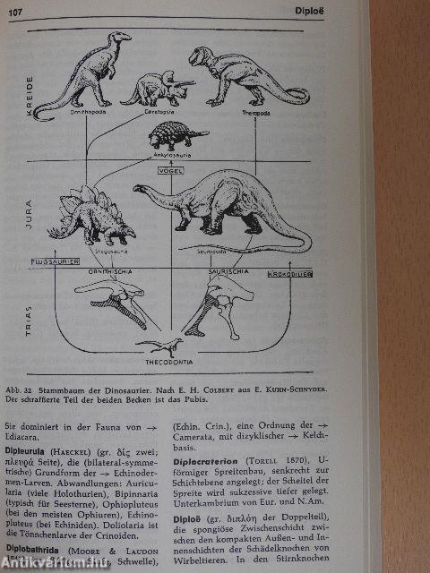 Paläontologisches Wörterbuch