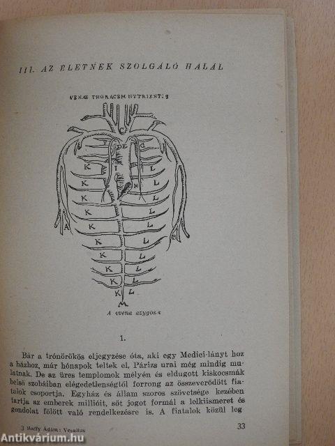 Vesalius