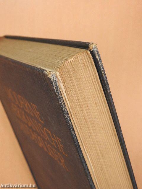 Moderne Amerikanische Landhäuser