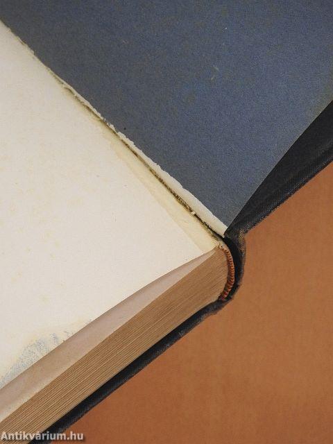 Moderne Amerikanische Landhäuser