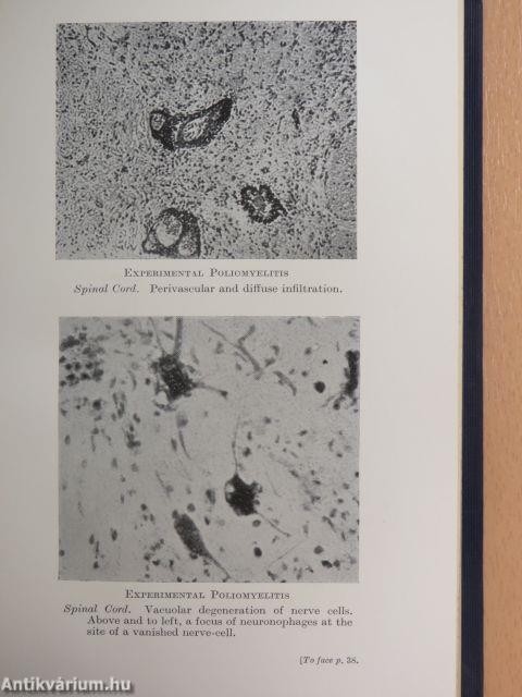 Handbook of filterable viruses