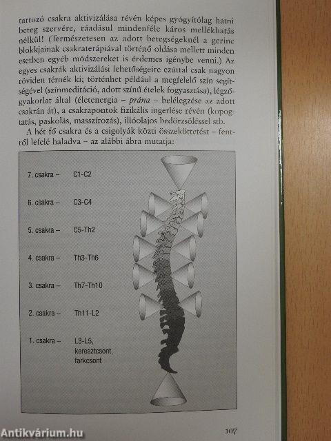 Népbetegségek megelőzése és szelíd gyógymódjai 1.