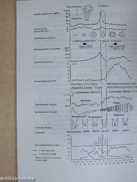 Természetes családtervezés